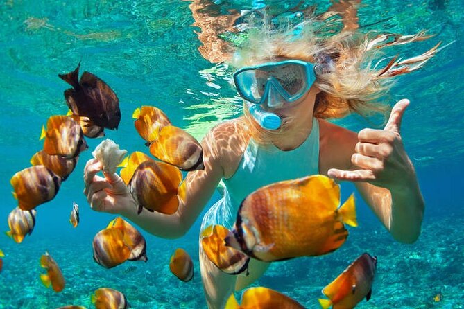1 Hour Private Snorkeling Activity In Montego Bay - Key highlights you’ll care about