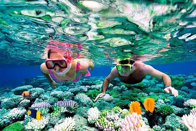 1 Hour Private Snorkeling Activity In Montego Bay - Getting There: Air-Conditioned Pickup and Fast Beach Access
