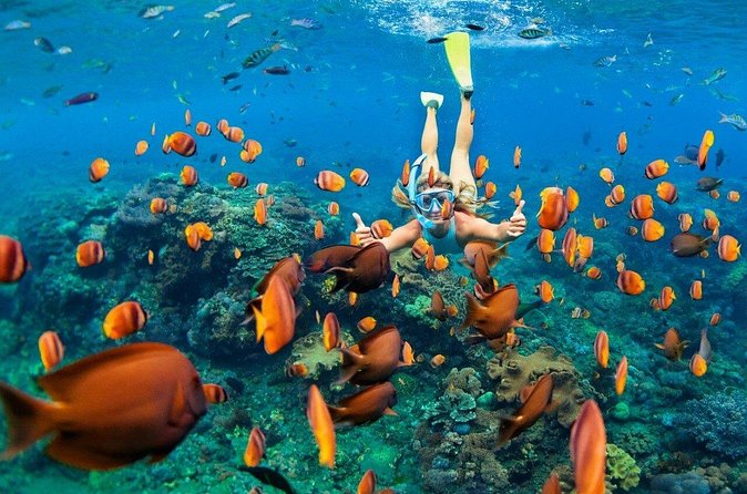 1 Hour Private Snorkeling Activity In Montego Bay - Private vs Shared Water: How Crowds Affect Your Snorkel
