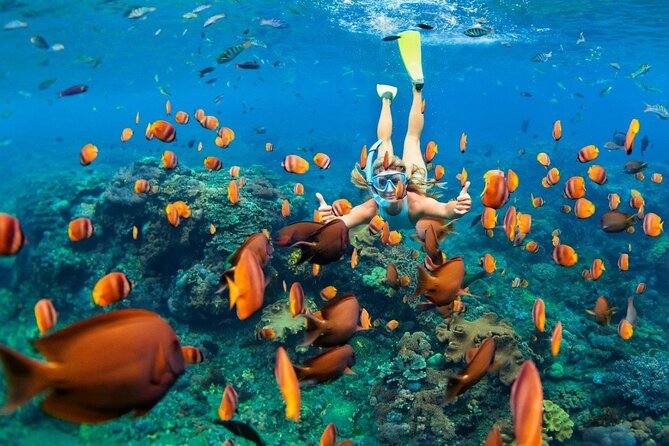 1 Hour Private Snorkeling Activity In Montego Bay - Price and Value: Is $110 Per Person Worth It?
