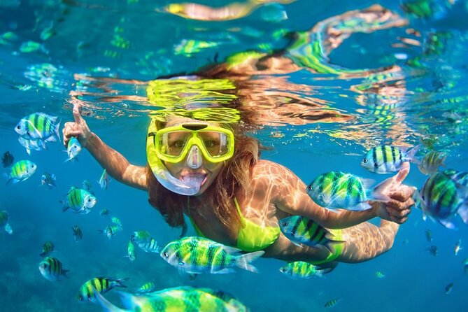 1 Hour Private Snorkeling Activity In Montego Bay - Who This Tour Fits Best (and Who Might Want a Longer Option)