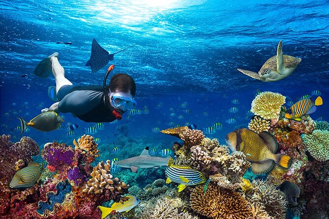 1 Hour Private Snorkeling Activity In Montego Bay - On the Water: Gear, Instructions, and a Short Reef Trip
