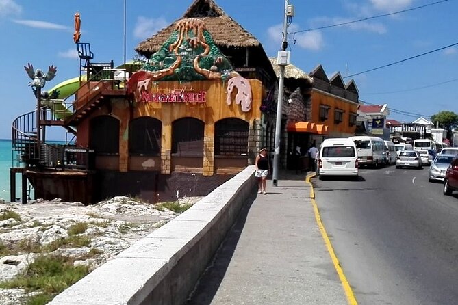 3-Hour Private Tour in the Highlights of Montego Bay - Who this Montego Bay highlights tour fits best