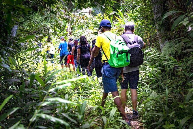 4-Hours Bike, Hike & Waterfall Tour in Blue Mountain with Lunch and Pick Up - Key highlights worth planning for