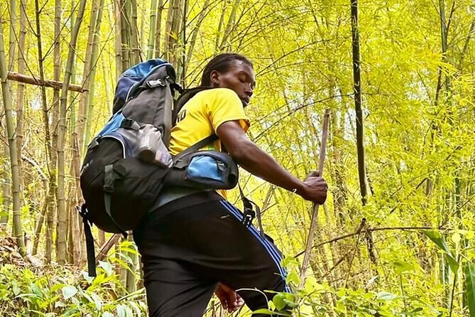 4-Hours Bike, Hike & Waterfall Tour in Blue Mountain with Lunch and Pick Up - The 2.2-Mile Forest Hike With Coffee Farms and Fresh Air