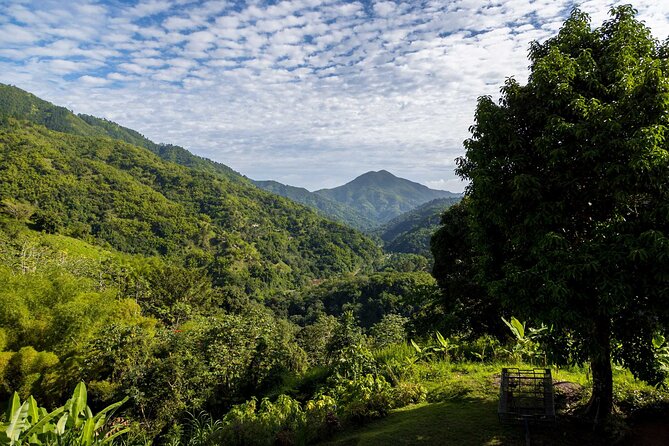 4-Hours Bike, Hike & Waterfall Tour in Blue Mountain with Lunch and Pick Up - Brunch on a 200-Year-Old Wooden Deck Coffee Trading Post