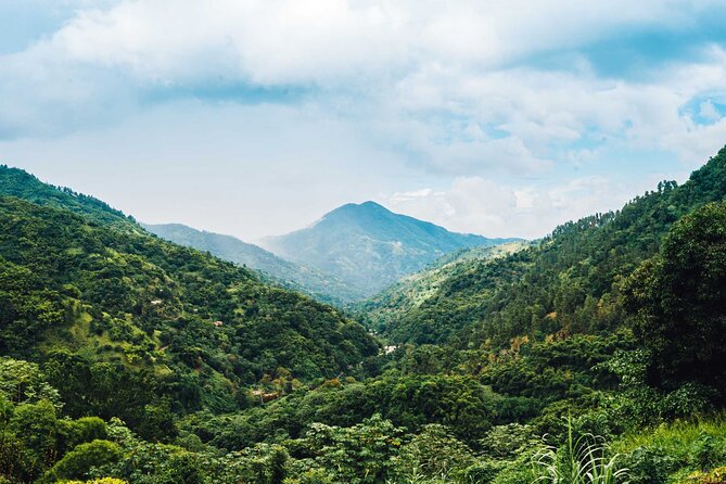 4-Hours Bike, Hike & Waterfall Tour in Blue Mountain with Lunch and Pick Up - The Secluded Waterfall Finale: Calm After the Climb