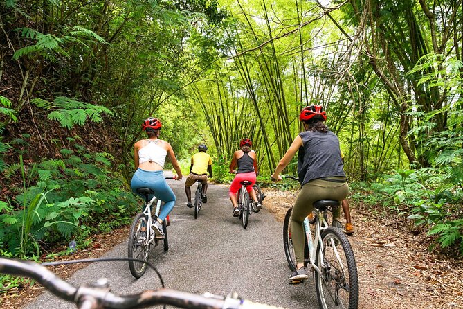 4-Hours Bike, Hike & Waterfall Tour in Blue Mountain with Lunch and Pick Up - Who This Tour Fits Best (And Who Might Want to Skip It)