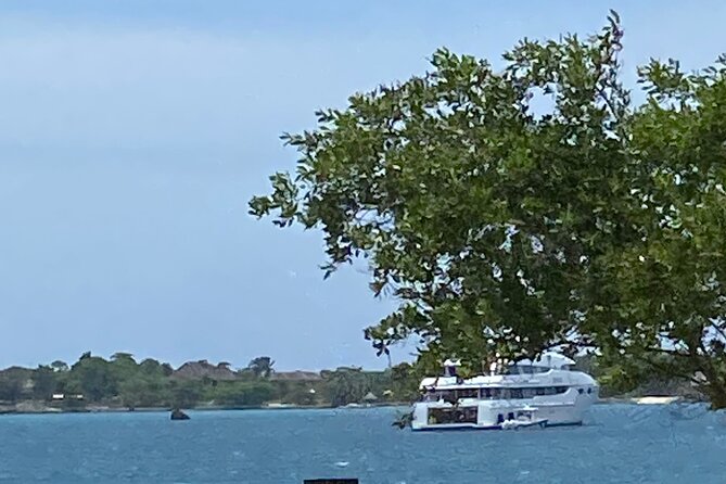 4 Hours Party Boat Catamaran Cruise in Negril - Snorkeling stop: the ocean part you’ll remember