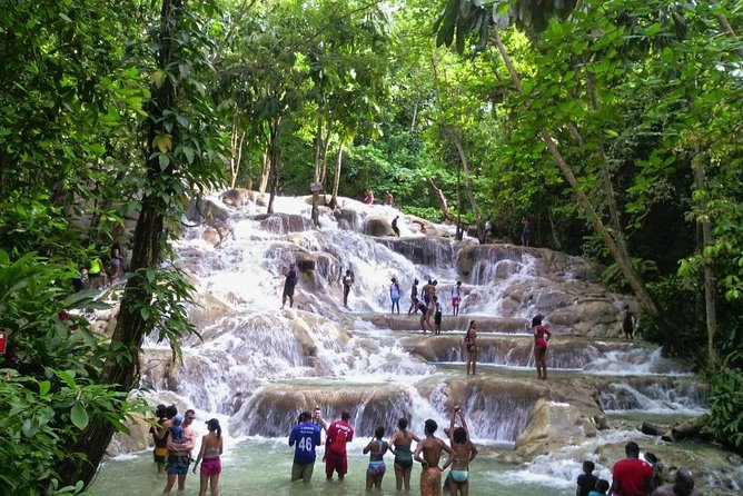 6. Bob Marley 9miles/Dunn's River Private Tour(420 Friendly)final resting place - Dunn’s River Falls: Guided Climb, Cool Water, and a Real Workout