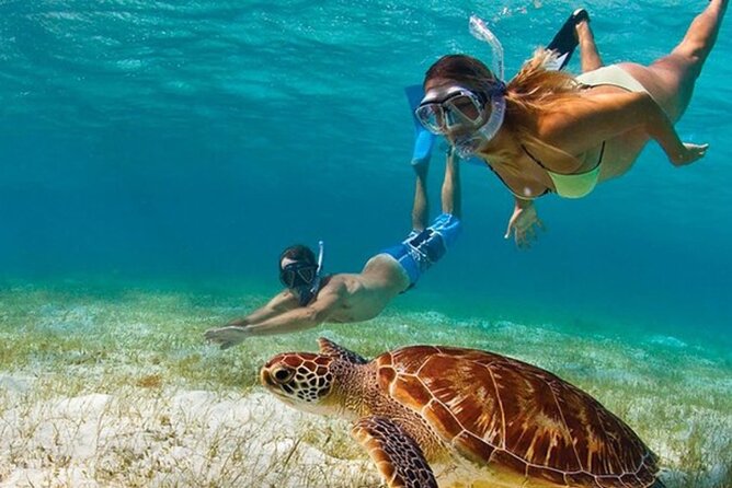 Adventurous-Snorkeling With Sightseeing of Montego Bay - Key highlights (worth your attention)