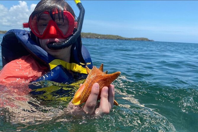 Adventurous-Snorkeling With Sightseeing of Montego Bay - Price and value: is $70 per person fair here?