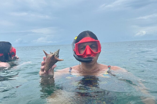 Adventurous-Snorkeling With Sightseeing of Montego Bay - Timing and weather: why wind matters in Montego Bay