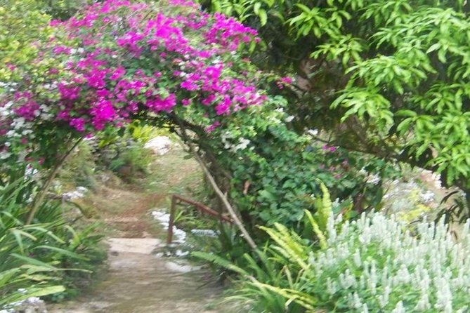 Ahhh Ras Natango Gallery and Garden Private Transfer - Seasonal juice: the simple ending that makes the tour feel complete