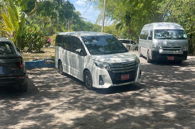 Airport Pickup, Dropoff to any Resort or Airbnb in Montego Bay - Timing Reality: What Happens When Customs Takes Forever