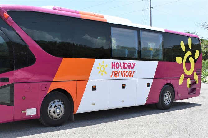 Airport Shuttle from Montego Bay (MBJ) to Hotel - Who this shuttle fits best (and who might want another option)