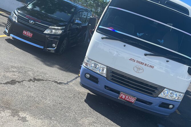 Airport Transfers Private: Montego Bay-hotels,villas & Airbnb - How the experience works from start to finish