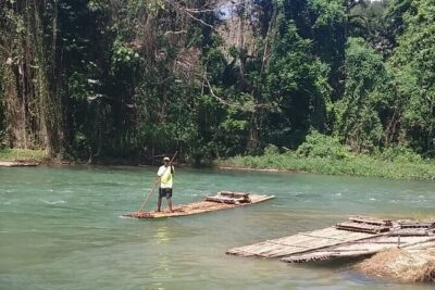An Evening on the Lagoon: Martha Rafting, Luminous Lagoon and Falmouth Highlight - Miss Martha’s Herb Garden: A Quick Cultural Stop That Actually Adds Meaning