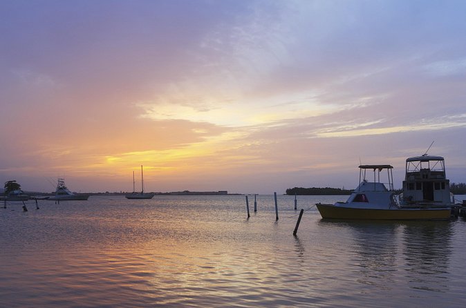 An Evening on the Lagoon: Martha Rafting, Luminous Lagoon and Falmouth Highlight - Price and Value: Why $240 Can Make Sense Here