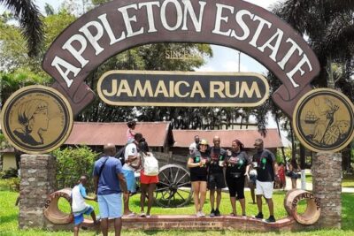 Appleton Estate Rum Factory And YS Falls Inclusive Tours From Montego Bay - Appleton Estate in St. Elizabeth Parish: cane juice, molasses tastings, and rum choices