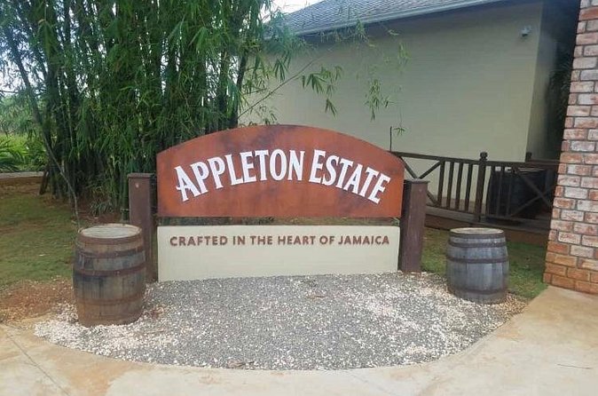 Appleton Estate Rum Private Tour - 10 rum tastings plus a free bottle: how to plan your palate