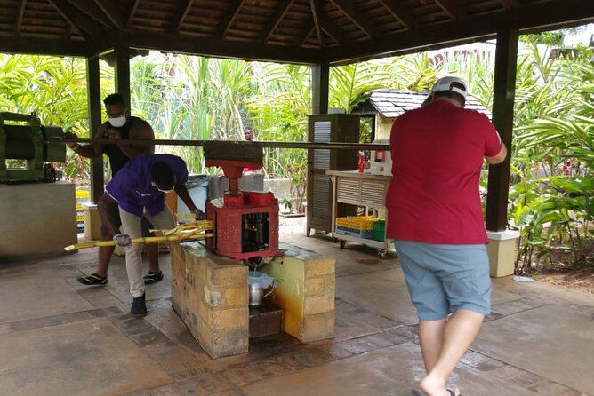 Appleton Estate Rum Tour and Pelican Bar Customize Tour - Southcoast Jamaica Road Trip With a Private Custom Feel