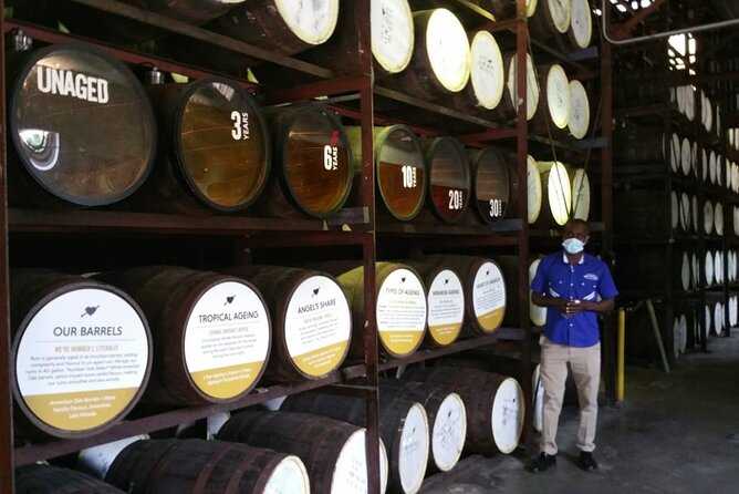Appleton Estate Rum Tour and Pelican Bar Customize Tour - Comfort on Winding Roads: What to Plan For