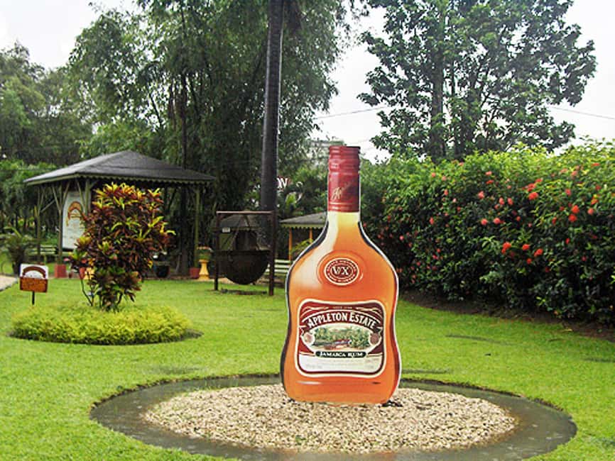 Appleton Estate Rum Tour: Full Day from Montego Bay - Montego Bay to Cornwall County: the south-coast drive that sets the mood