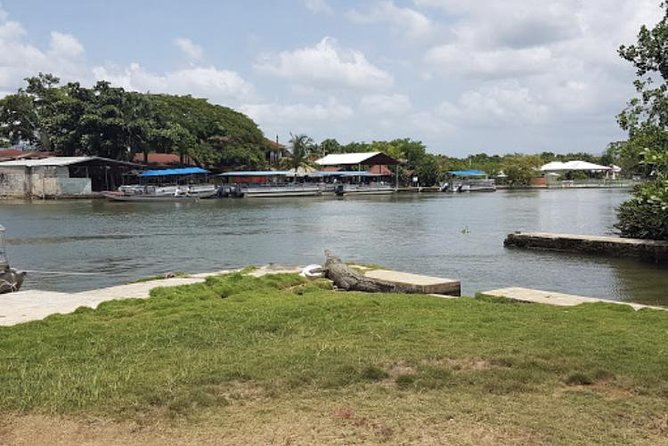 Appleton Estate Rum, YS Falls, Black River Safari / Floyd's Pelican Bar Tour - Price and What You’re Really Paying For ($275)