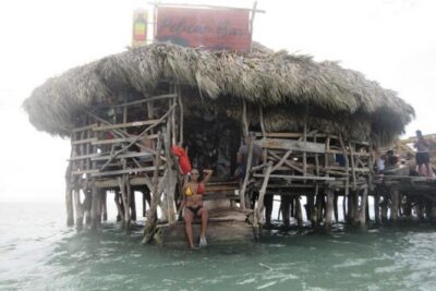 Appleton Estate Rum, YS Falls, Black River Safari / Floyd's Pelican Bar Tour - Choosing Your Three Stops: How to Build a Day That Fits You