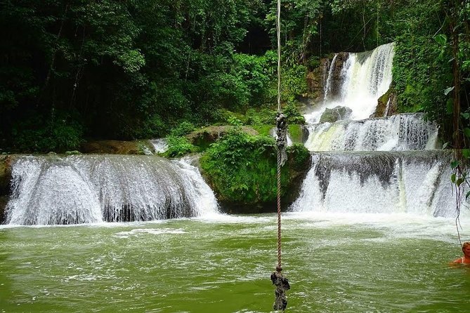 Appleton Estate, Ys Falls and Black River Safari Private Tour - Key highlights worth knowing before you go