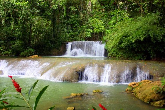 Appleton Estate, Ys Falls and Black River Safari Private Tour - Appleton Estate rum tour: more than a tasting stop