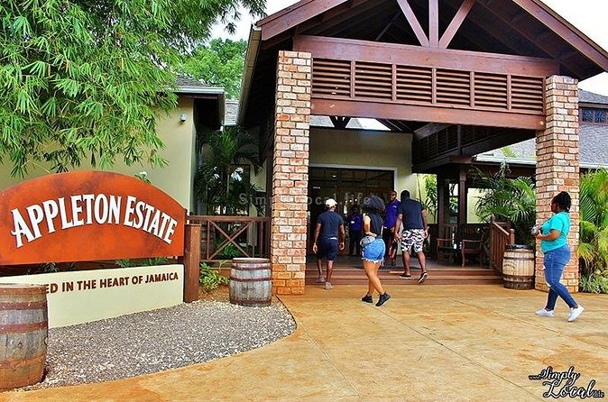 Appleton Estate, Ys Falls and Black River Safari Private Tour - A long day that stays doable: timing, pacing, and transit