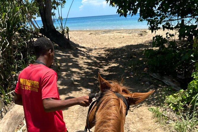 ATV, Bamboo Rafting, Horseback Ride From Montego Bay- Private - Horseback ride and swim adventure near Ocho Rios