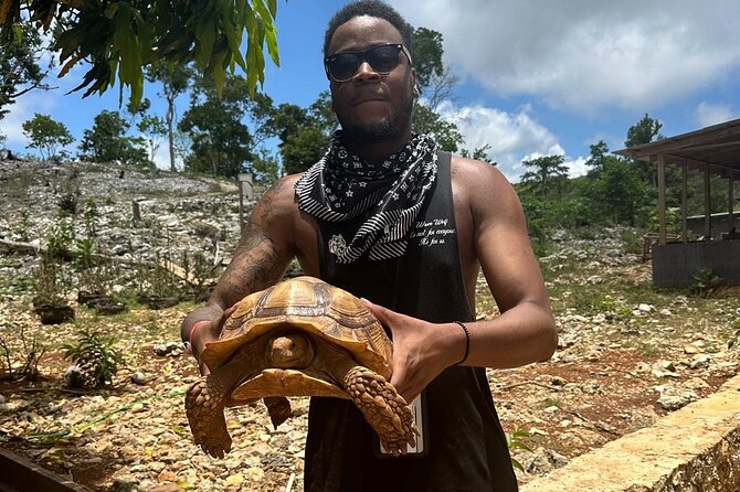 ATV Tour from Montego Bay with private transportation - Montego Bay Pickup: Less Waiting, More Riding Time