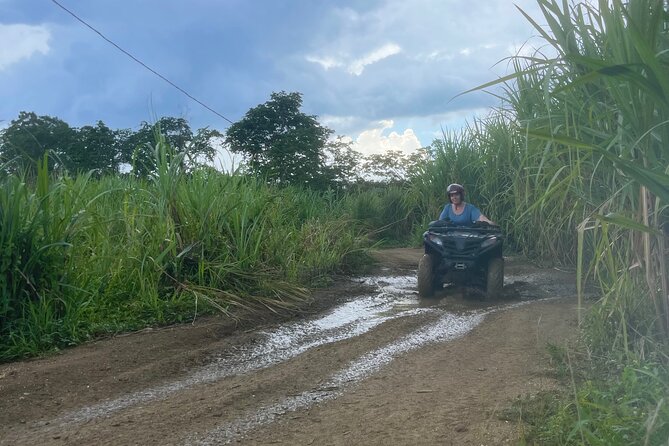ATV, Zipline, Horseback, Bamboo Rafting and Rick’s Cafe - Zipline overhead: fast views, calm coaching