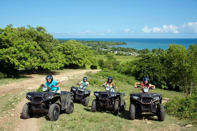 ATV, Zipline, Horseback, Bamboo Rafting & Catamaran Boat Jamaica - Zipline above the treetops: views that make the wait worth it