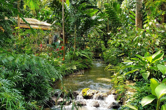 Bamboo rafting and Horseback ridding - Ocho Rios highlights: Fern Gully, craft markets, and coastal views