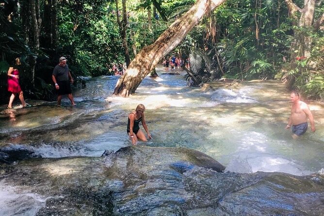 Bamboo Rafting, Dunn's River Falls and Horseback Riding Private Tour - How the Whole Day Flows from Montego Bay (and Why It’s Worth It)
