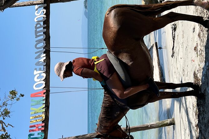 Bamboo Rafting & Horseback -dunns river Transportation Included - Weather, water, and clothing choices that keep you comfortable