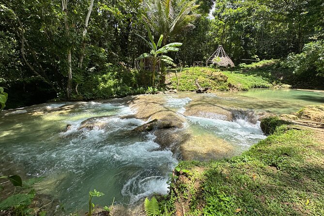 Benta River & Falls Private Tour From Montego Bay - Rope swing, caves, mud bath, and cliff jump: comfort and safety reality check