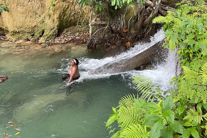 Benta River & Falls Private Tour From Montego Bay - Guide support that makes the difference