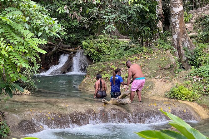 Benta River & Falls Private Tour From Montego Bay - Price check: is $145 per person fair?