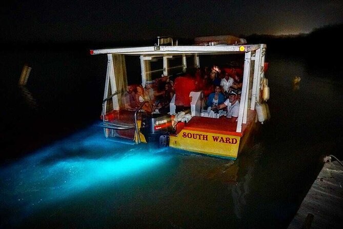 Bioluminescence Lagoon Tour from Montego Bay with Pick Up - Jamaica’s bioluminescence: what you’re actually seeing