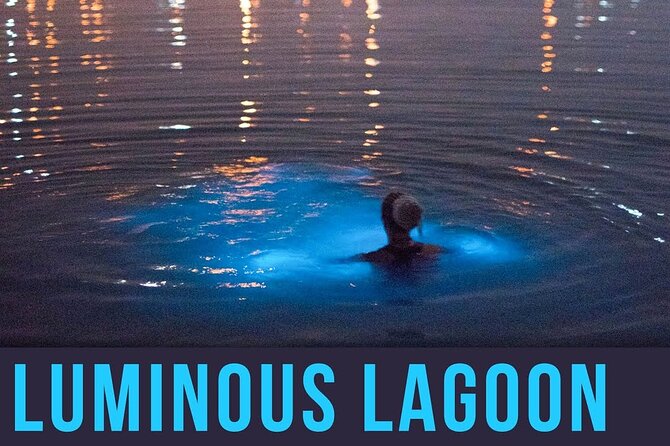 Bioluminescence Lagoon Tour from Montego Bay with Pick Up - Weather, moon, and how to set expectations without killing the magic