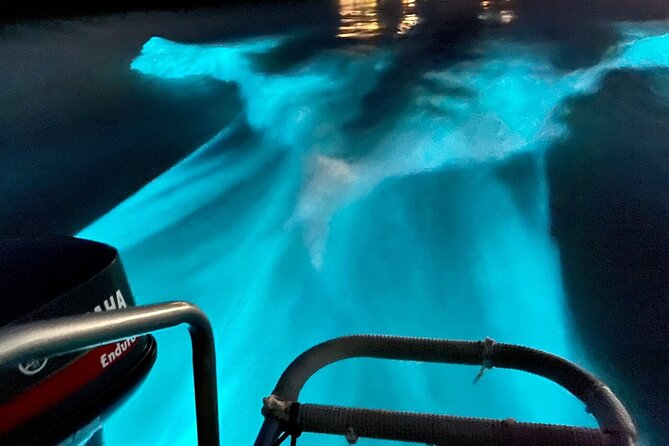 Bioluminescence Lagoon Tour from Montego Bay with Pick Up - Who this tour fits best (and who should adjust expectations)