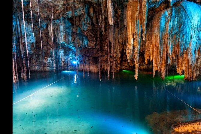 Bioluminescence Lagoon Tour from Montego Bay with Pick Up - Montego Bay pickup, air-conditioned comfort, and a smooth start