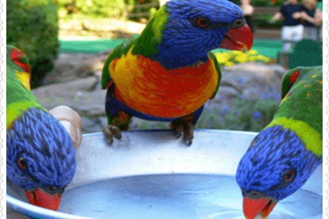 Bird Sanctuary and animal farm Day Tour - Key highlights to know before you go