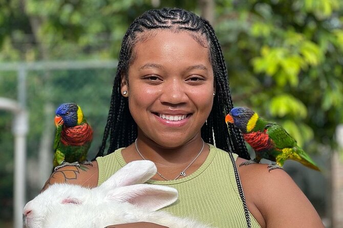 Bird Sanctuary and animal farm Day Tour - From Montego Bay to Anchovy: how the timing really feels