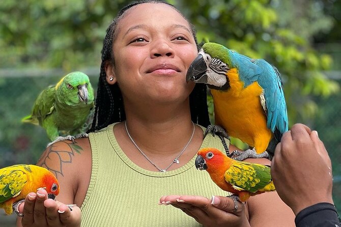 Bird Sanctuary and animal farm Day Tour - Hand-feeding hummingbirds: the up-close moment people remember